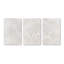 Ensemble de 3 impressions Ginkgo Whispers-79269662-79269649