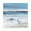 Tidal Fishing II by Carol Robinson - Wrapped Canvas Painting-680399743