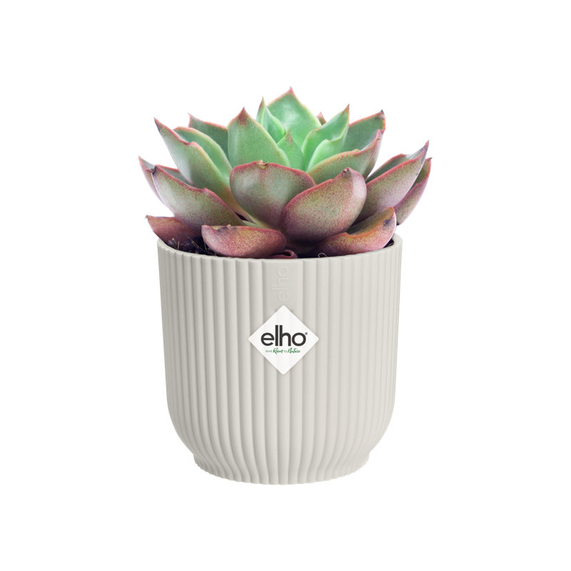 Pot Planter, Silky White, 8.8cm H x 9.3cm W x 9.3cm D