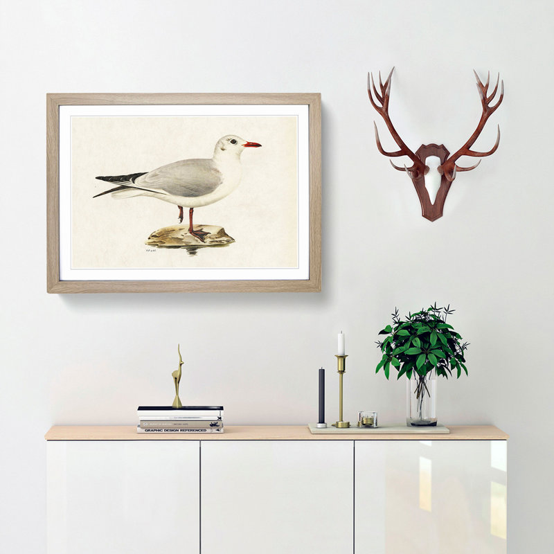 Black-Headed Gull by Von Wright - Picture Frame Art Print, Oak Framed, 27cm H x 36cm W x 2cm D