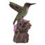 «HUMMINGBIRD» MOULÉ PAR MOTION SUR FOXGLOVE