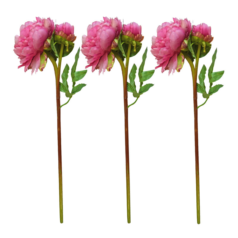 Ensemble de 3 tiges de pivoines à une seule branche 20 po, Rose foncé