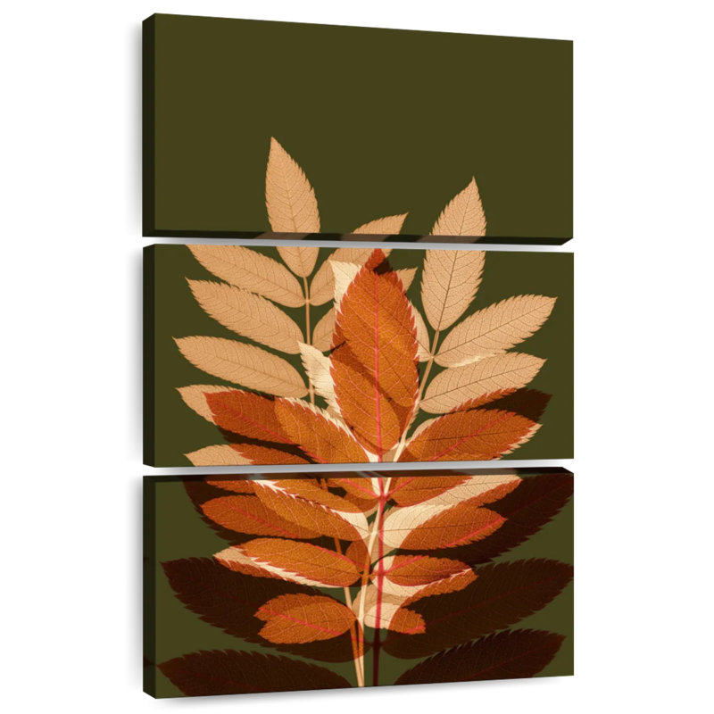 Harnek Fall Leaves II, H 50 po x l 32 po