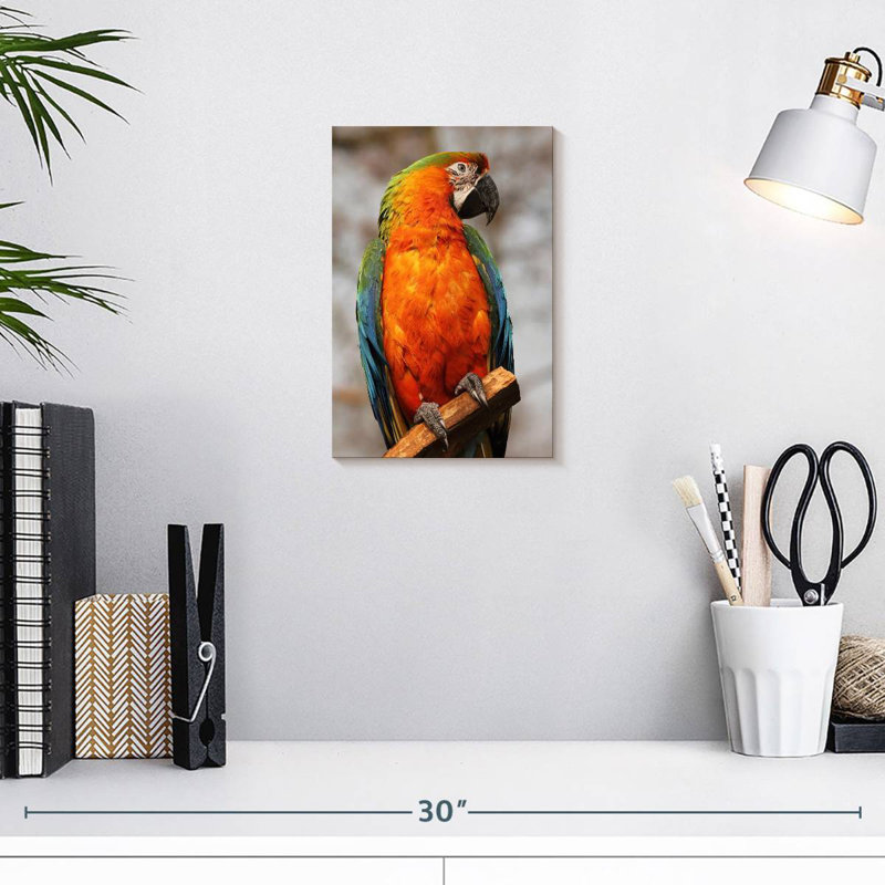 Brampt Catalina Macaw, 12" H x 8" W