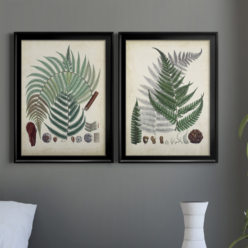 Collection de fougères I - ensemble de 2 impressions encadrées sur toile, H 36,5 po x l 26,5 po x P 1,25 po, Cadre noir
