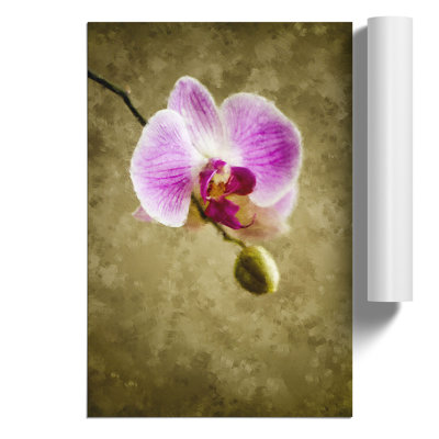 Orchid Flowers Painting - Frameless Print