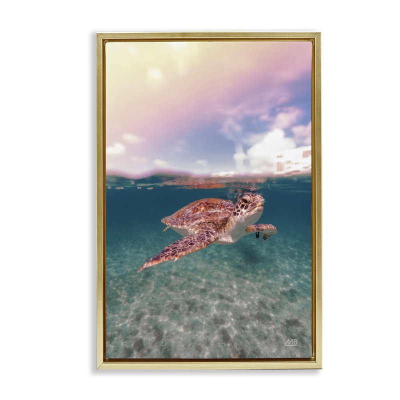 Toile flottante «Above & Dessous Sea Turtle» par Max Blakesberg Studios, Cadre flottant métallique doré, H 31 po x l 21 po