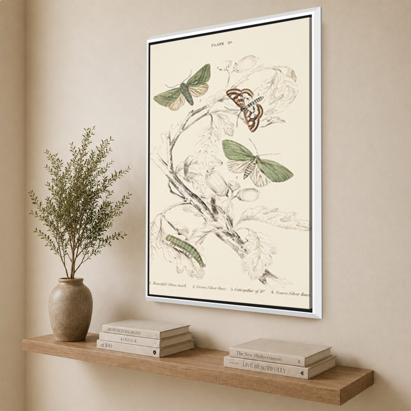 Mariposas I par V. Larkspar - Impression sur toile, 64" H x 44" W, Blanc