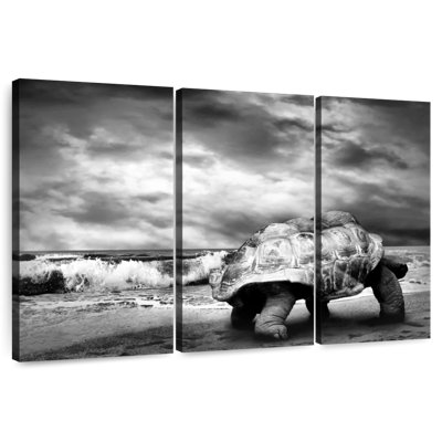 Giant Turtle BW