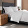 Percale Solid Colour Flat Sheet