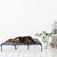 Polyester Pet Bed-499350841-499350840