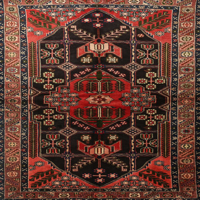 Oriental Indoor Rug