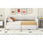Lit de jour simple tapissier très grand avec deux tiroirs-67292340