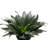 Live Low Light Houseplant Set of 3-70535089