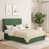 Plush Velvet Forest Green