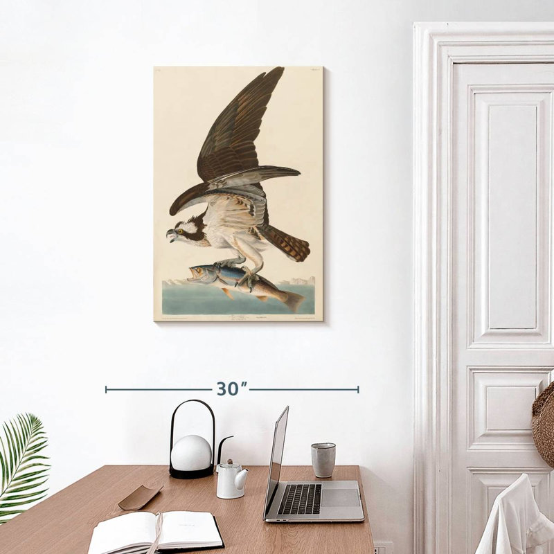 Osprey et petit-déjeuner Brampt, H 30 po x l 20 po