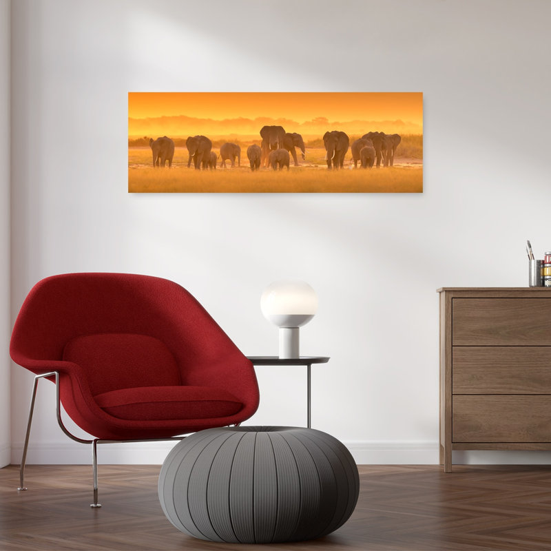 African Elephants Golden Hour by David Hua - Wrapped Canvas Panoramic Print, 91.44 cm H x 30.48 cm W