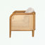 Outdoor Wicker Arm Chair with soft Cushion