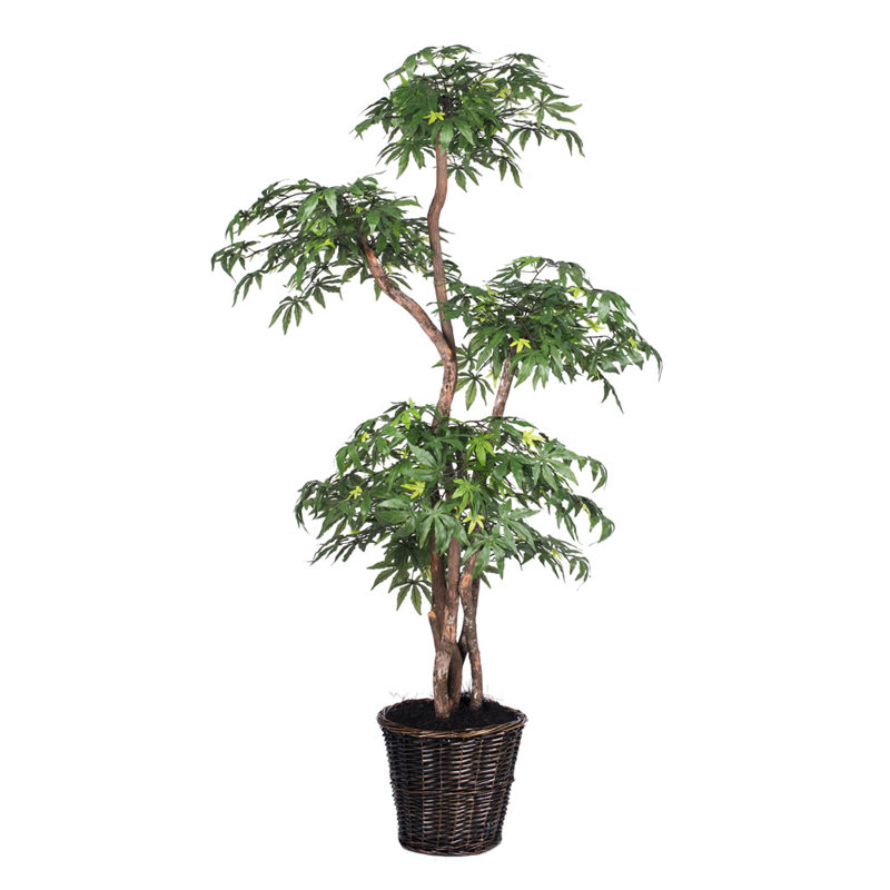  6' Artificial Multi Level Japanese Maple Tree, Rattan Basket