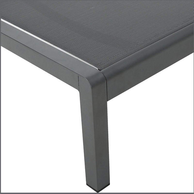 Chaise longue, ensemble de 2, pour l'extérieur, Gris