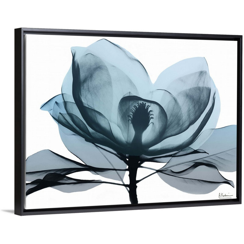 «Midnight Magnolia II» par Albert Koetsier, reproduction sur toile, H 14 po x l 18 po x P 1,75 po, Cadre noir