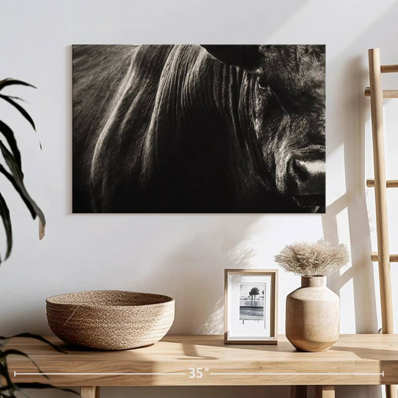 Black Angus Bull Close Up, 16" H x 24" W
