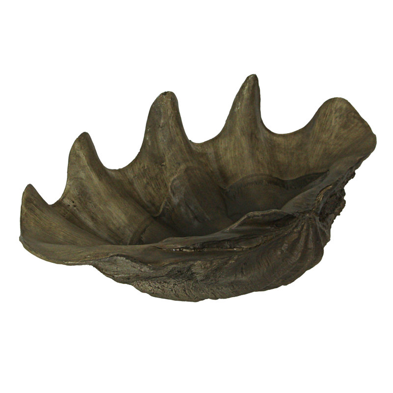Bol décoratif coquille ovale en gris
