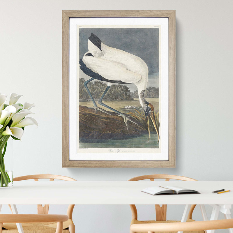 Wood Stork by John James Audubon - Picture Frame Painting Print, Oak Framed, 36cm H x 27cm W x 2cm D