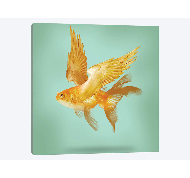 " Flying Fish " by Vin Zzep, 26" H x 26" W x 1.5" D, Wrapped Canvas, No Mat
