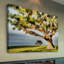 « king of the hill » par leda robertson, reproduction d’art sur toile tendue-16031903