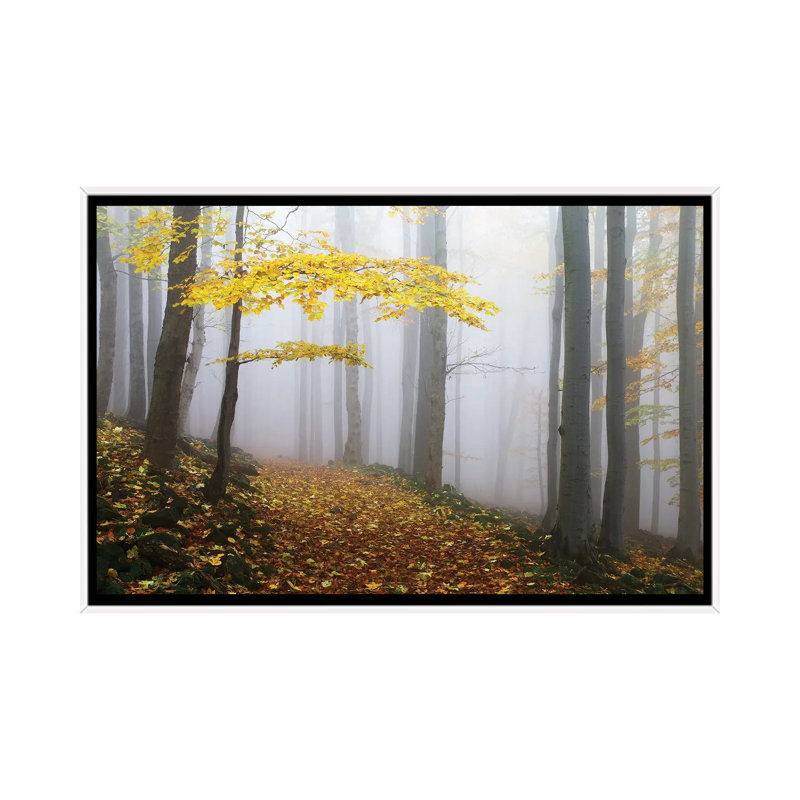 Martin Rak - Floater Frame Print on Canvas