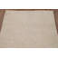 Tapis traditionnel délavé discret 3 x 5