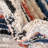 Tucson Abstract Indoor Rug-442797372