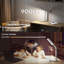Metal Piano Lamp