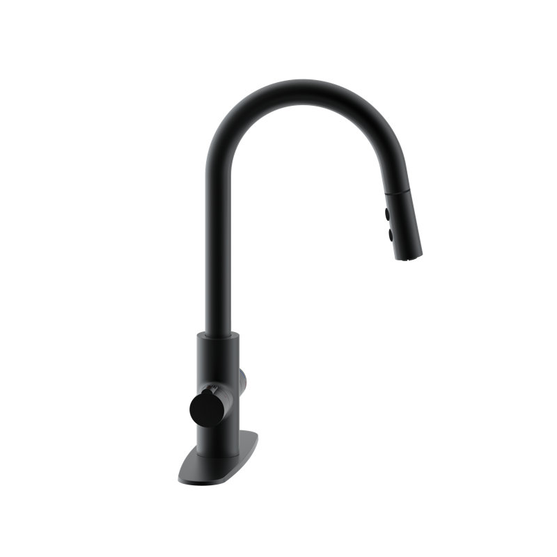 Robinet de cuisine 4 en 1 à poignée simple avec bouton-poussoir et douchette extractible, Noir mat