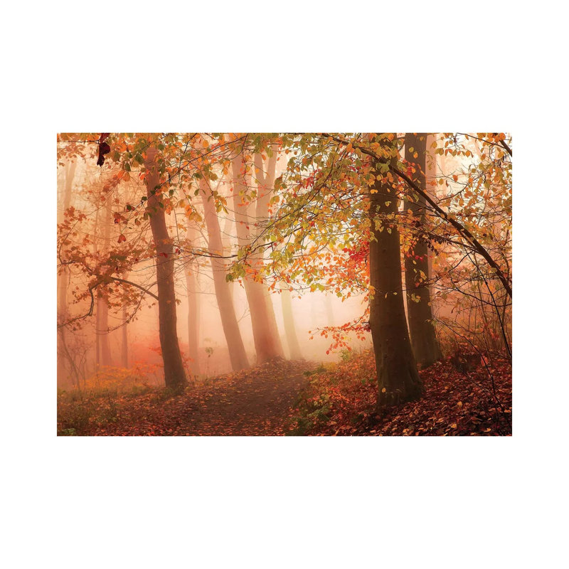 Calm Walk In Colors by Leif Londal - Wrapped Canvas Print, 66.04 cm H x 45.72 cm W x 1.91 cm D