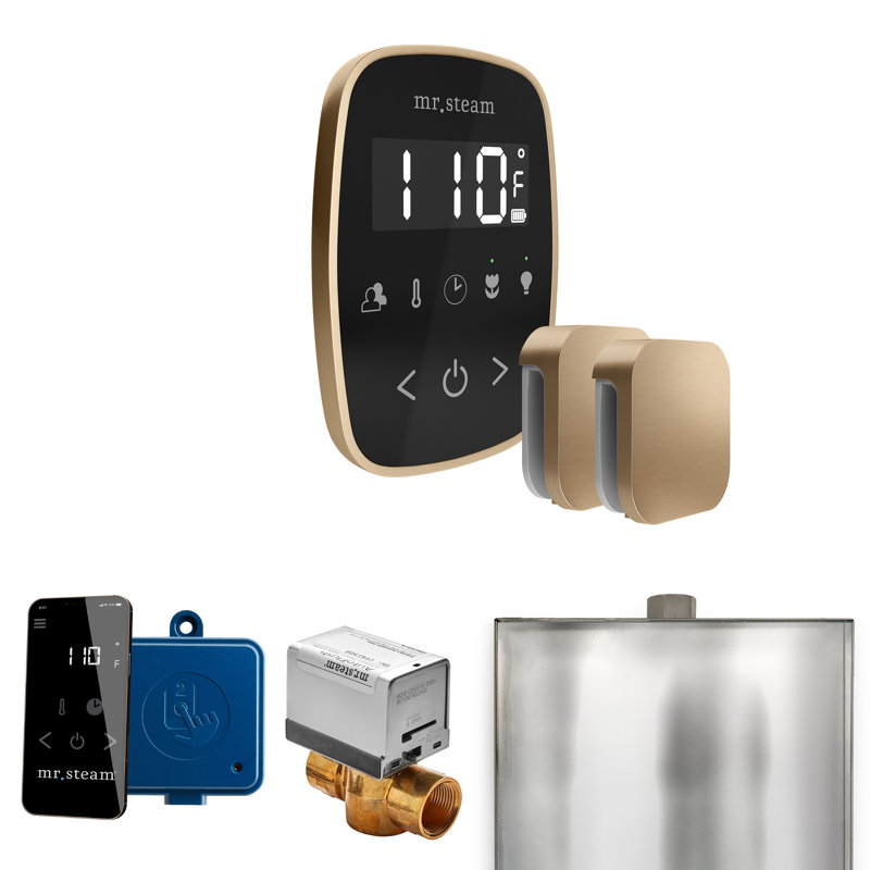 Ensemble de commande de douche à vapeur ButlerFlex Max avec contrôle TempoFlex et tête de vapeur, Noir / bronze brossé