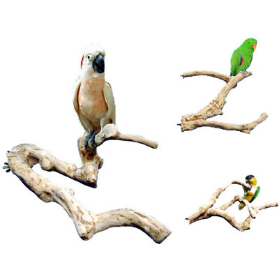Perchoir multi branches en bois A & e Cage Co. Java
