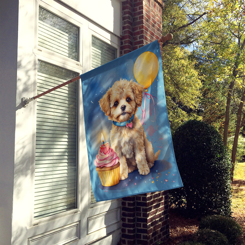 Drapeau «Happy Birthday House», Maltipoo