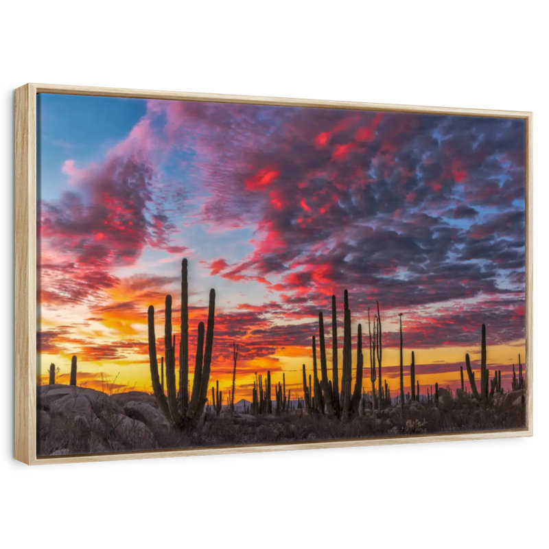 Forêt de cactus de Baja California, Cadre flottant en bois naturel, 31 po x 21 po