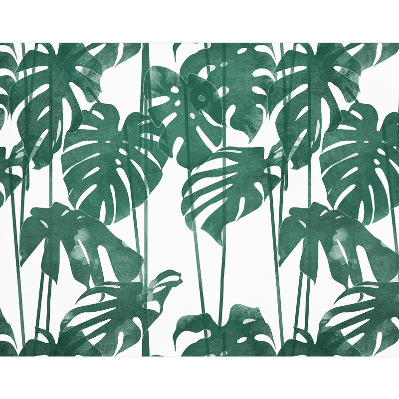 Feuille verte Monstera, L 132 po x l 168 po
