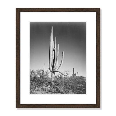 Saguaro National Monument Print by Ansel Adams