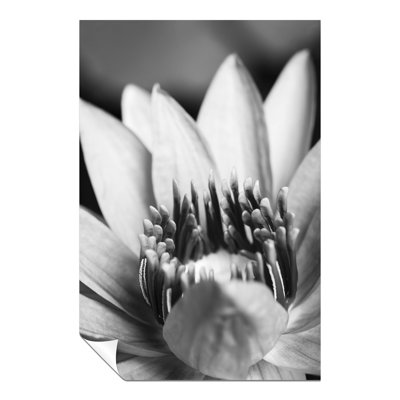 Flower Close Up - No Frame Print