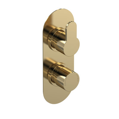 Twin Concealed Thermostatic Diverter Shower Valve