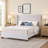 Acie Upholstered Platform Bed-1490783673