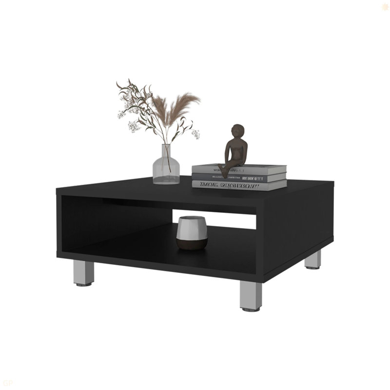 Table basse avec rangement ouvert