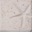 6" x 6" SeaStone Cement Starfish Fossil Impression Bevel Edge Medallion Tile in Beige