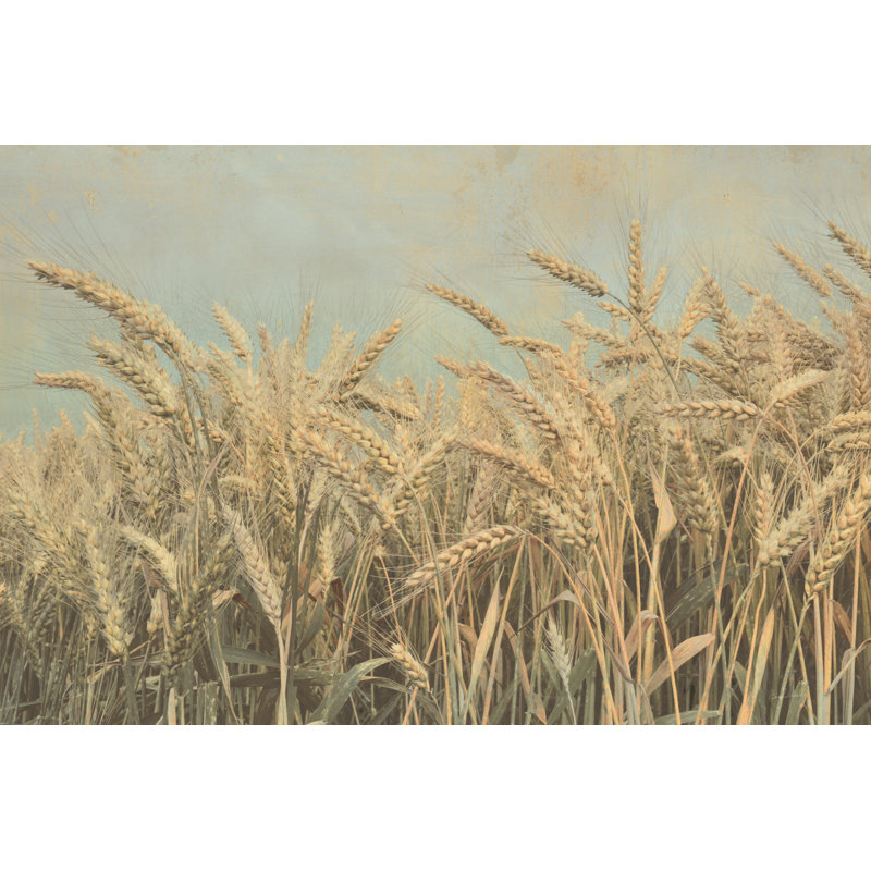 Moisson d'or, H 8 po x l 12 po