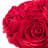  3D Flower Throw Pillow Cover Aesthetic Valentines Day Accent Pillow Case Cushion Cover-1108344880