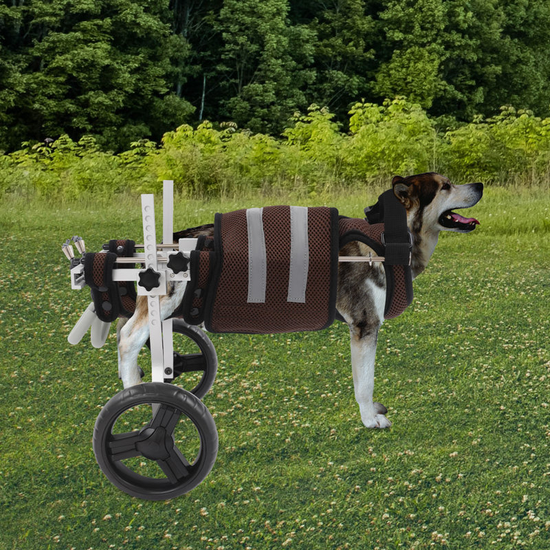 Fauteuil roulant ajustable pour chien à 2 roues pour les jambes en arrière, chariot de mobilité léger en aluminium, capacité de 6,61 à 19,84 lb